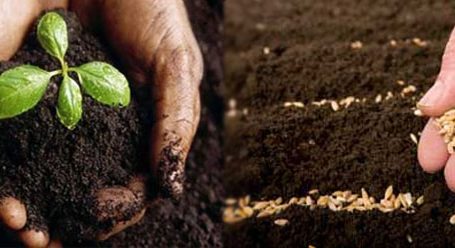 UPL AGROMED TARIM İLAÇLARI VE TOHUMCULUK SAN. VE TİC. A.Ş
